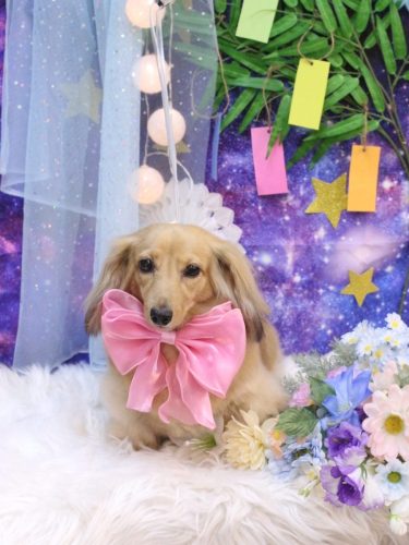 20250706モカちゃん